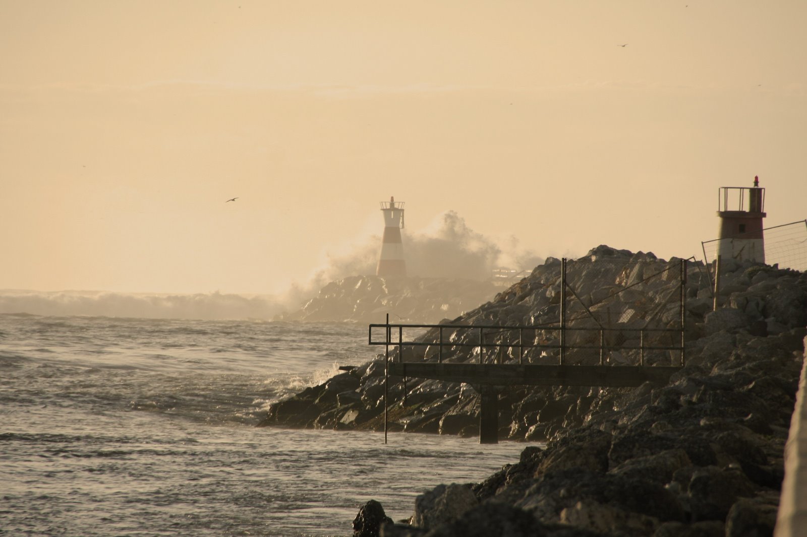 [Sepia[1].JPG]